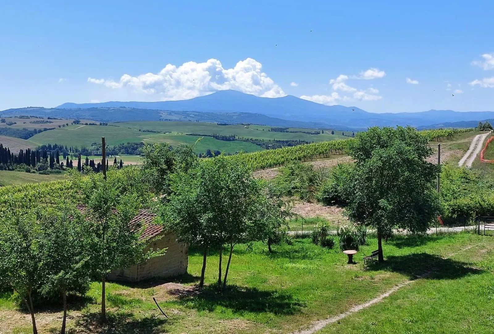 Farm stay A Casa Di Enrichetta Villa Montalcino